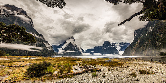 Milford Sound and Back-2