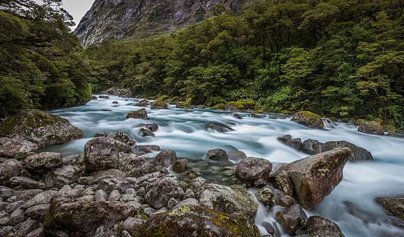 Milford Sound and Back-6