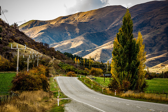 New Zealand Road