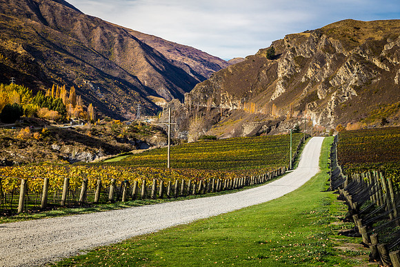 Winery Road