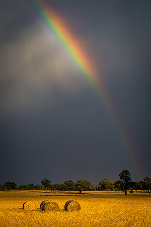 Rainbow Sky on the Farm