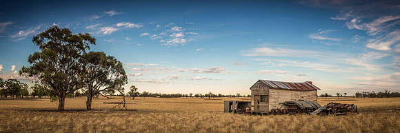 Shack on the Hill