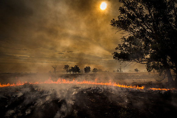 Sun and Fire