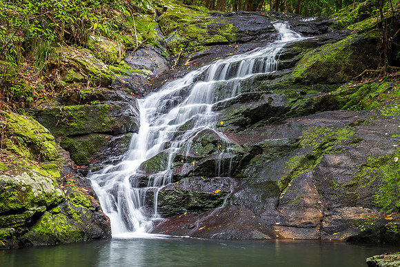 First Falls along Kondalilla Falls Circuit